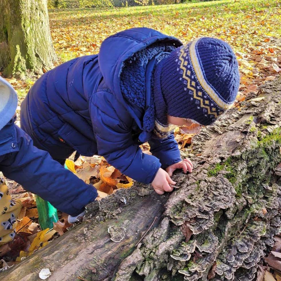 Photo d'un enfant jouant avec le bois d'un tronc couché lors d'une activité dans une crèche Krysalis